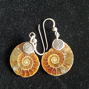 Real Fossil Ammonite Earrings Sea Snail Boho